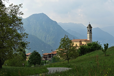 Al Perello sul sent. CAI 514 e al Monte Castello da casa, da Zogno il 23 maggio 2019 - FOTOGALLERY